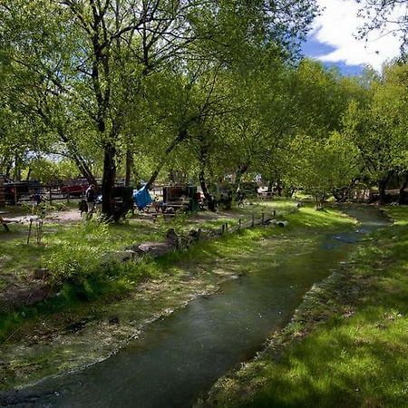 Camping Y Hostal El Ovejero El Calafate Exterior foto